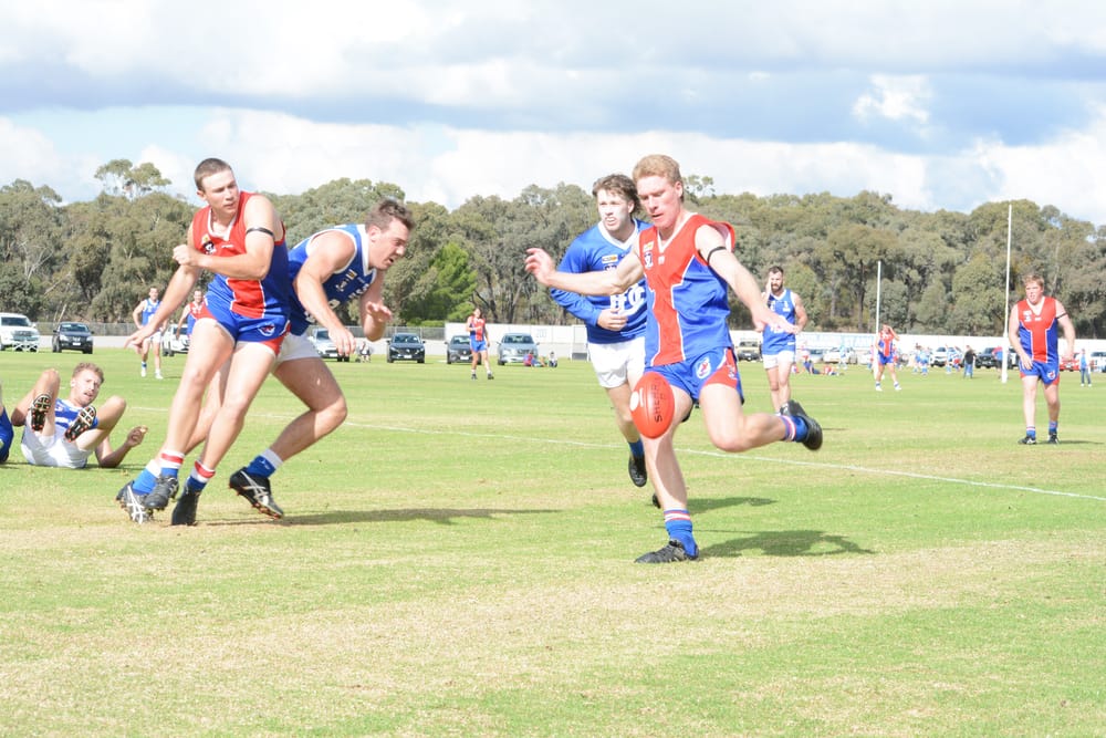 Bulls to Test Royal Blues post image