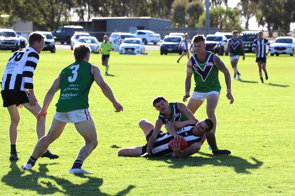 Bulls Respond to Determined ’Pies post image