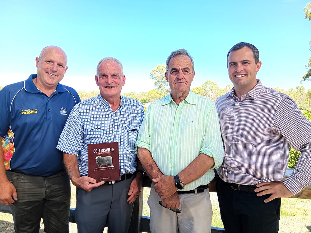 New Book Celebrates the Modern Merino post image