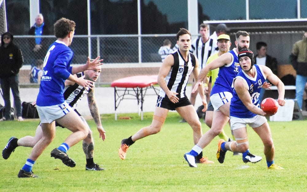 Donald Stung into Action post image