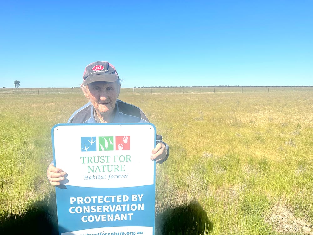 George’s Gift to the Birds post image