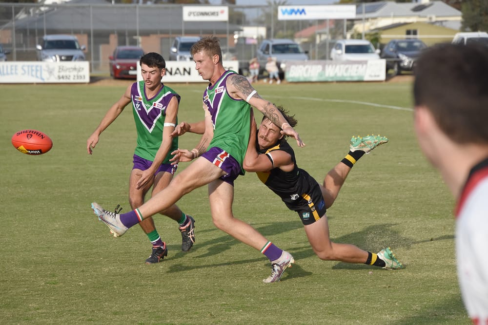 Undefeated Bulls Tame Tigers post image