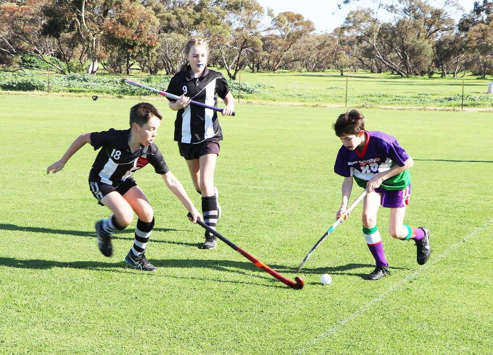 North-Central Hockey post image