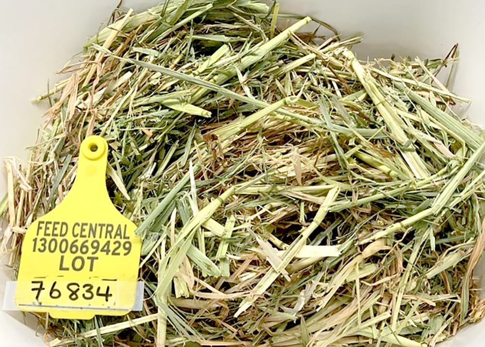 Australian Hay Quality Hits New High post image