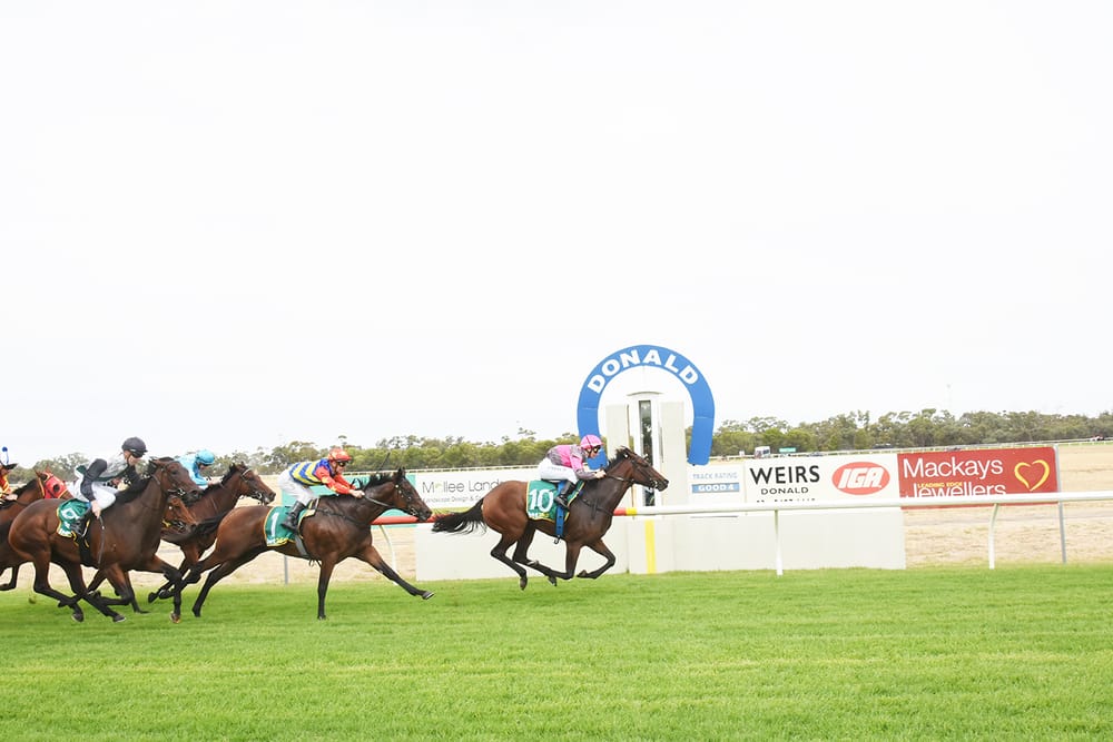 Donald Races Back on Track post image