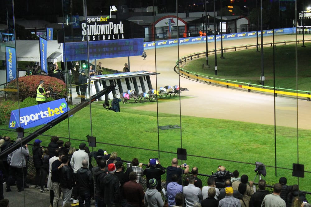 A Dream Comes True post image