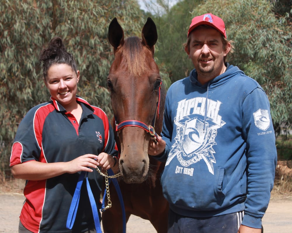 Maorishadow’s Tontine Trotters’ Final Victory post image