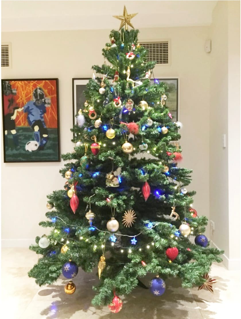 Pony Club’s Christmas Tree Fundraiser post image