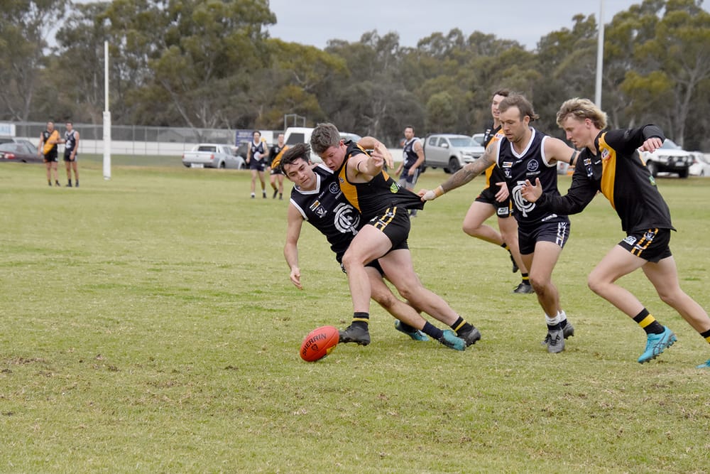 Tigers Too Good post image