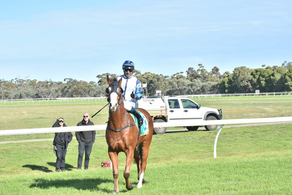 Cold Wind, but Quality Racing post image