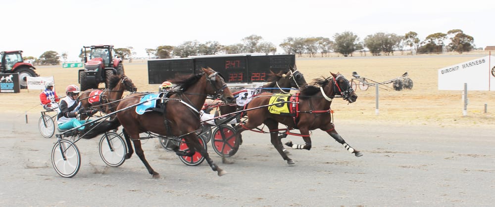 Welcome Back to the Trots post image