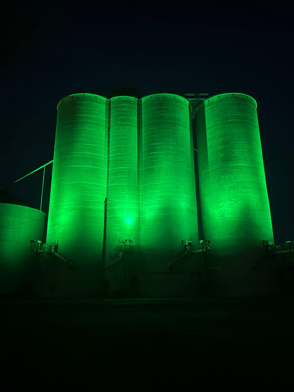 Travellers Turn Green with Envy post image