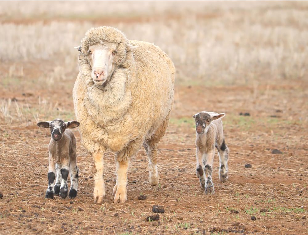 It’s Community Calendar Time post image