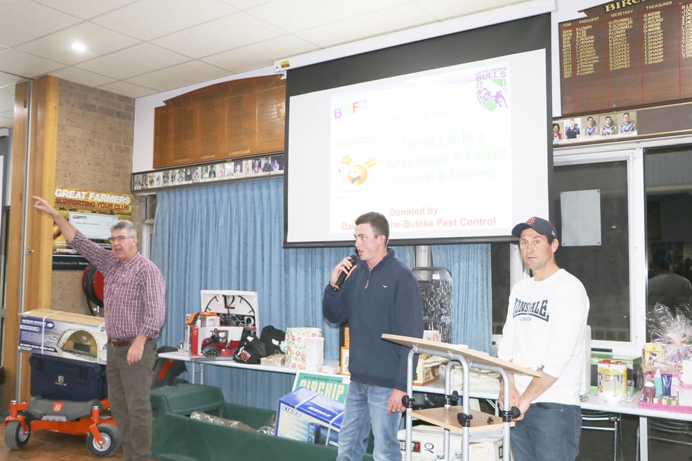 Bulls’ Auction Record Smashed post image