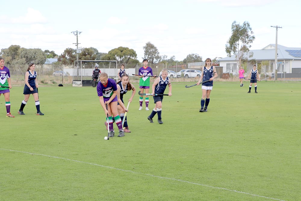 North-Central Hockey post image