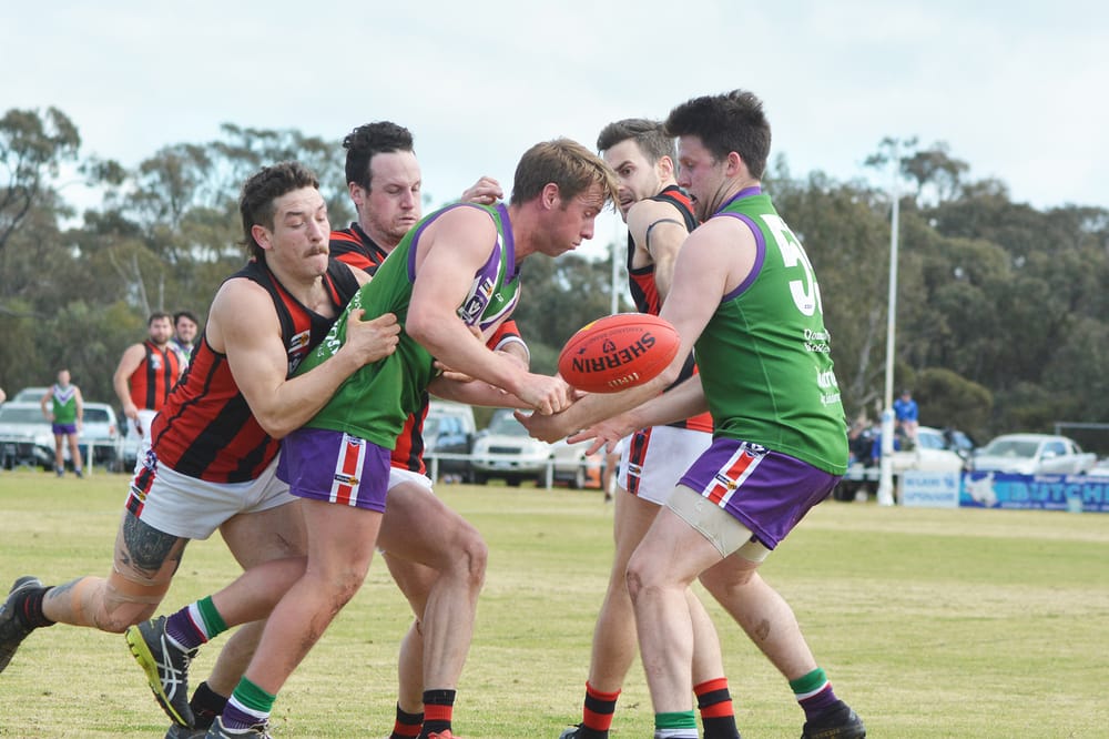 Bulls’ Reserves Hold Out Gallant Redbacks post image