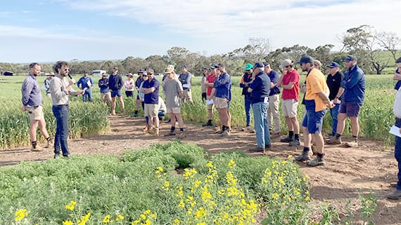 To Inform Decision-Making for Southern Growers . . . New Farming Systems Project post image