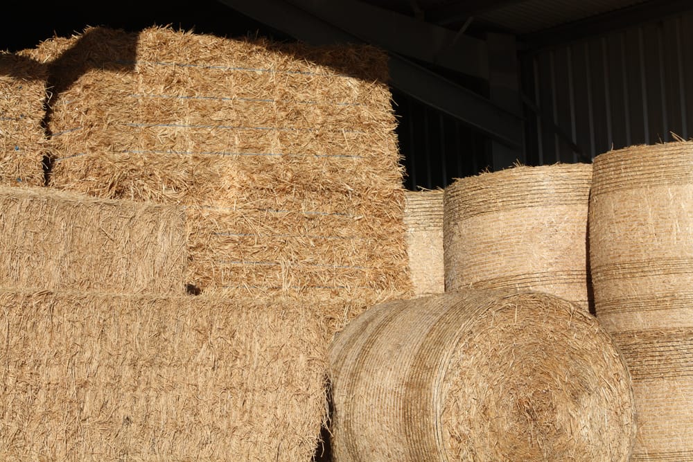As Drought and Bushfire Conditions Bite . . . Demand for Hay Takes Off post image