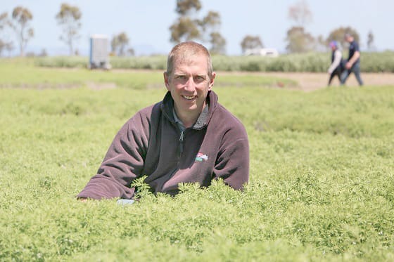 At BCG Trials Review Day . . . Pulses a Hot Topic post image