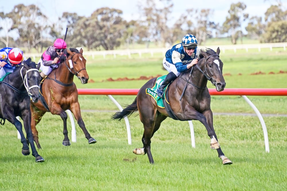 The Winner? Donald Race Track! post image