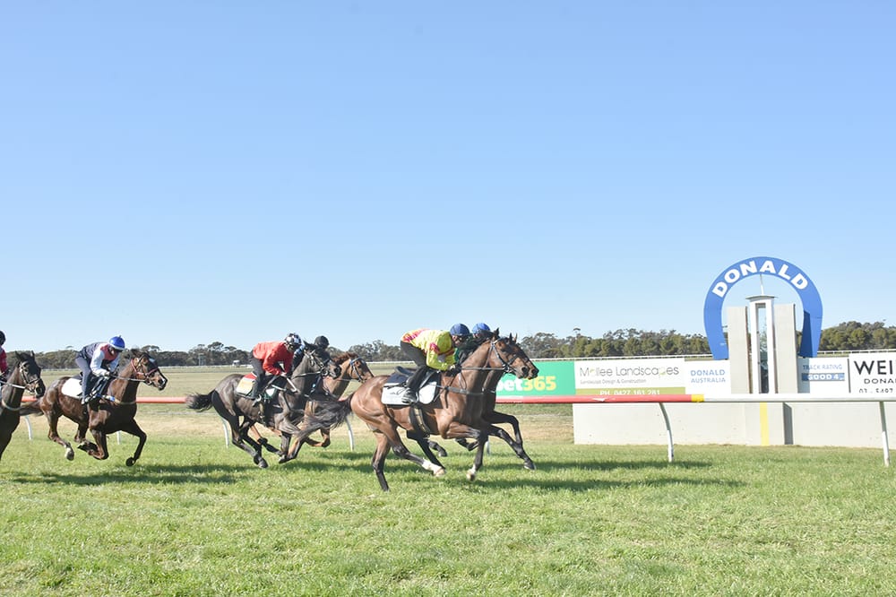 Spring is in the Air post image