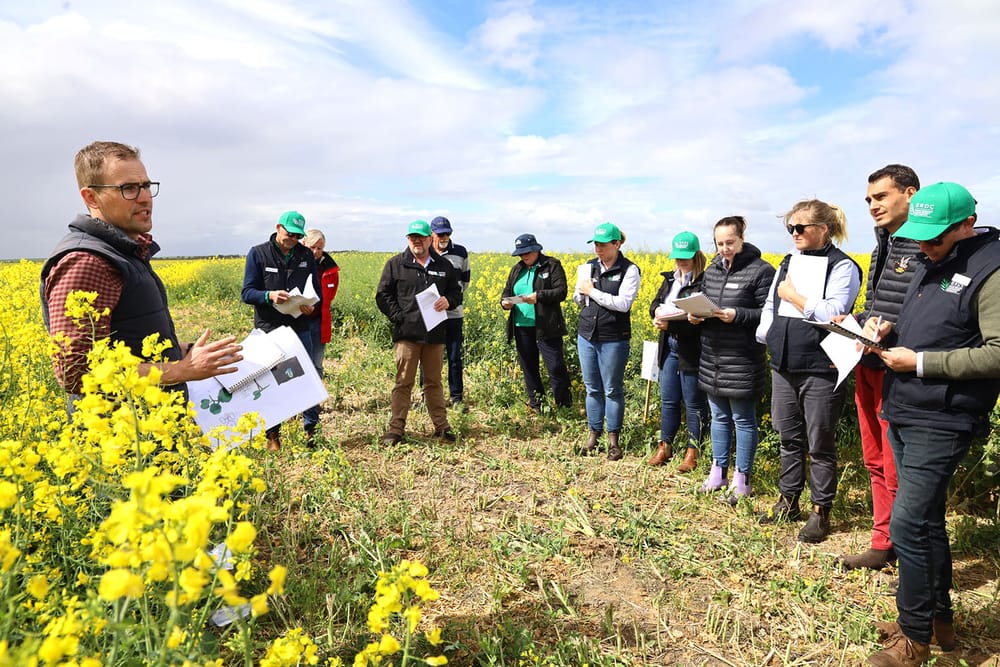 GRDC Southern Panel Welcomes New Members post image