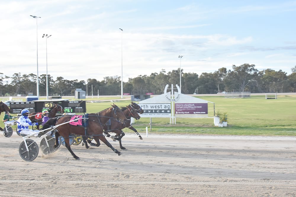 Two Hundred Winners for Paddy Lee post image