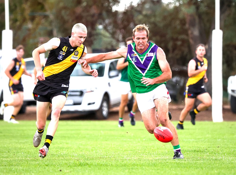 Lions Stake Their Claim post image