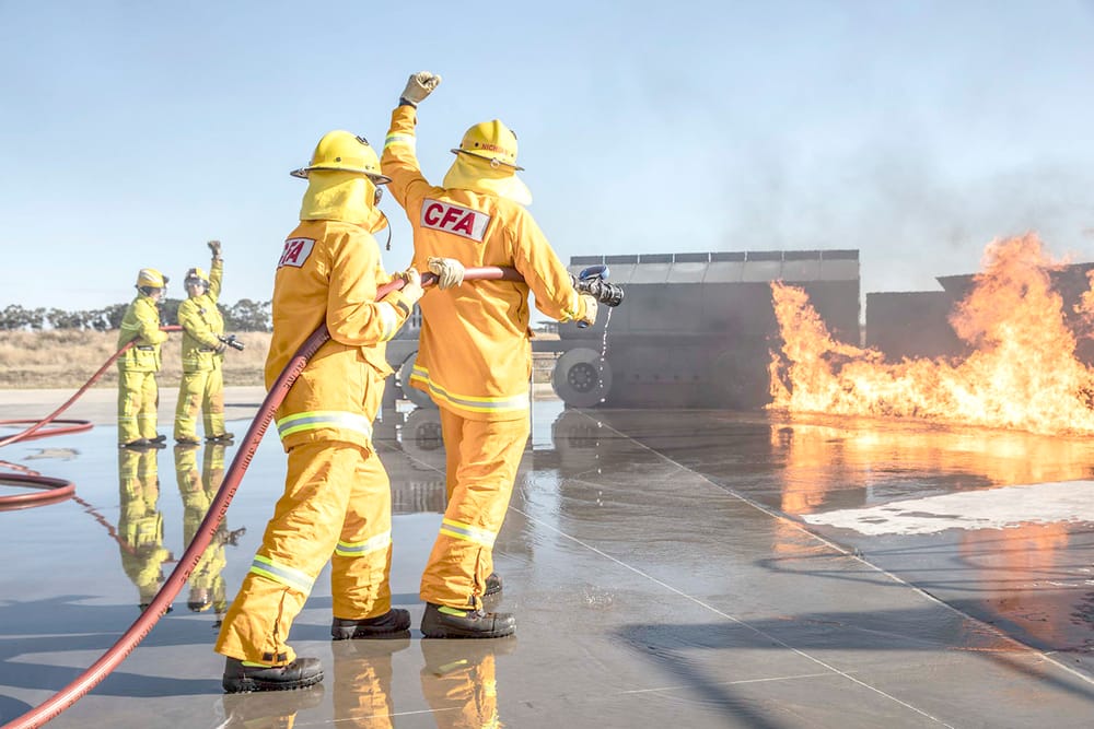 “Something for Everyone” post image