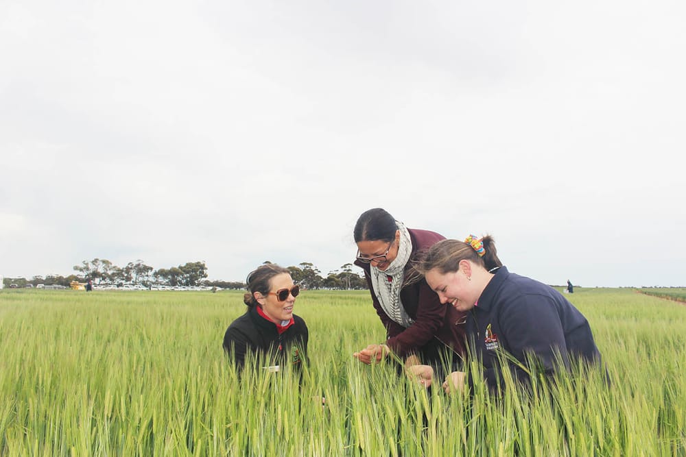 BCG Trials Review Day, February 24 post image