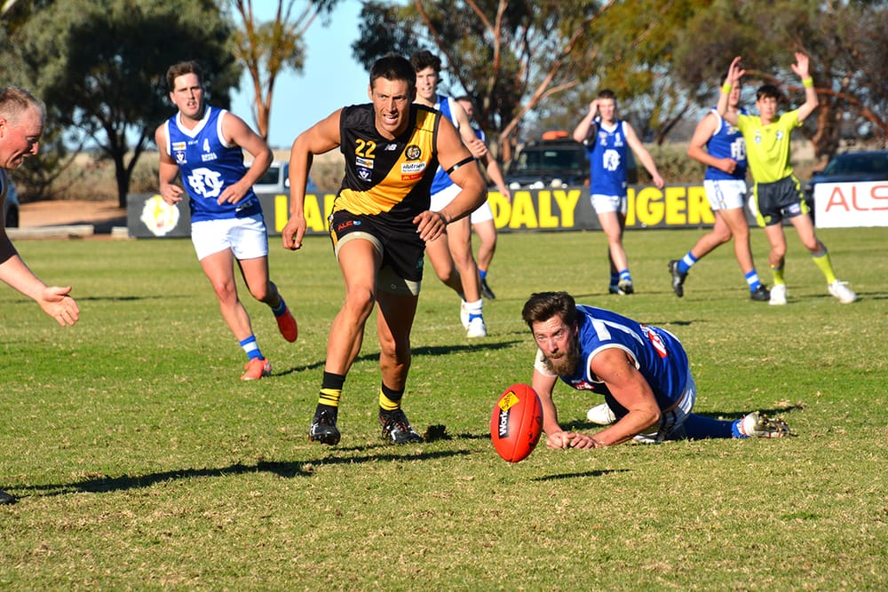 Percentage Boost for Tigers post image