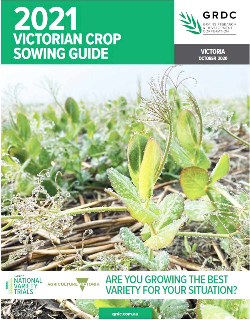 Be in the Know On What to Sow post image