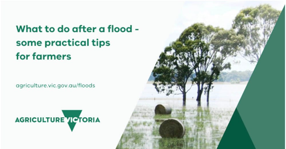 Flood information post image