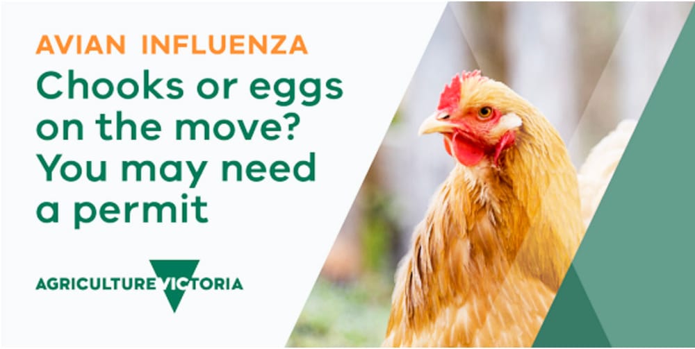 Avian Influenza Permits Required post image