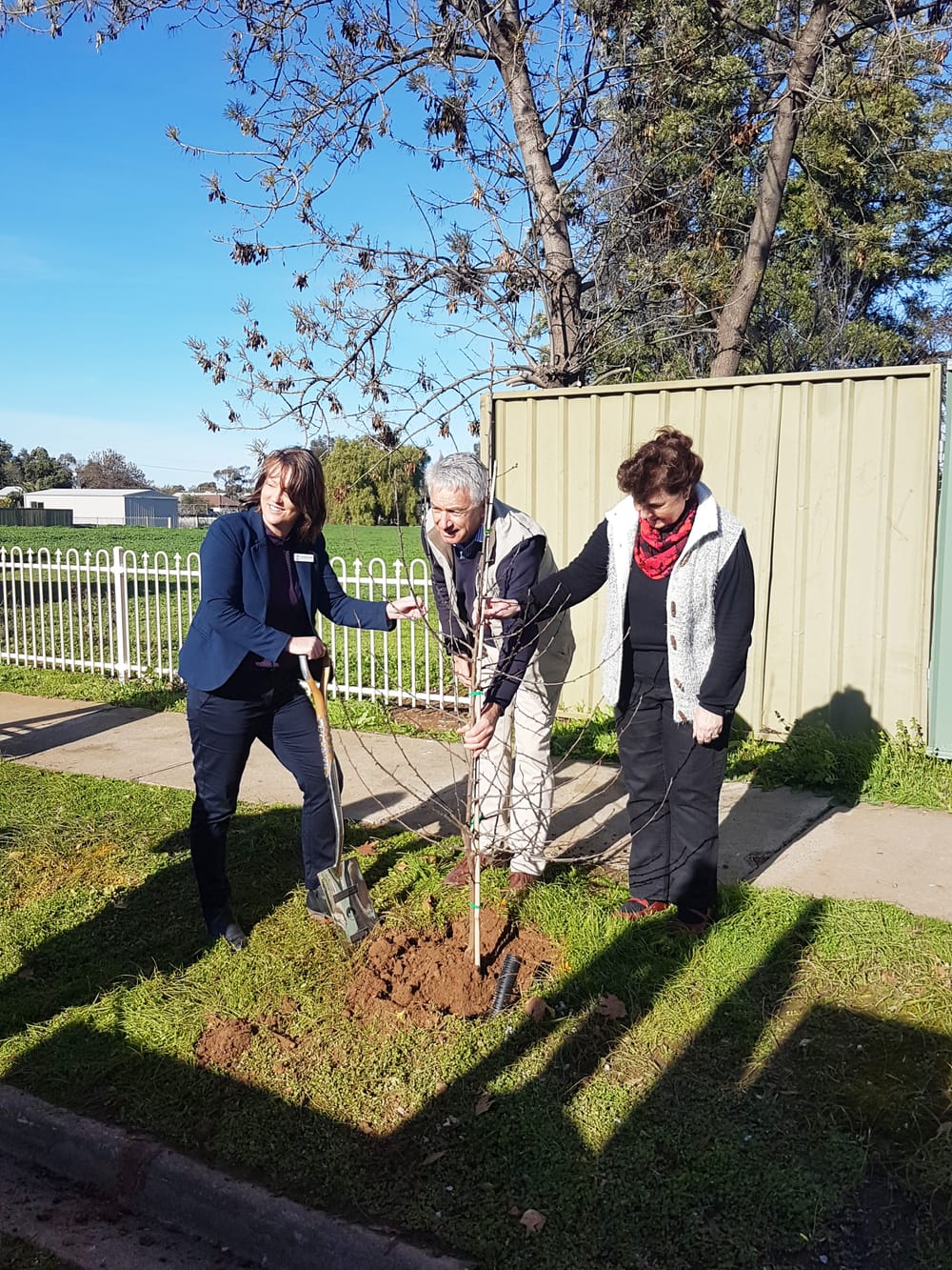 Friday, July 12, 2019 post image