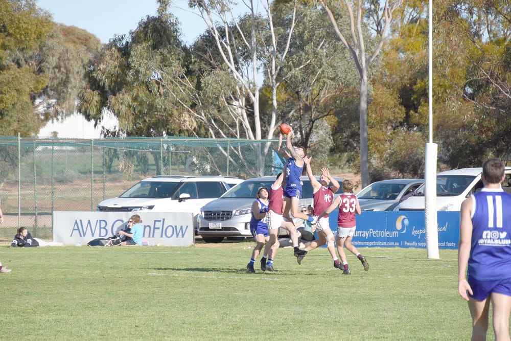 Nullawil’s Season Well and Truly Alive post image