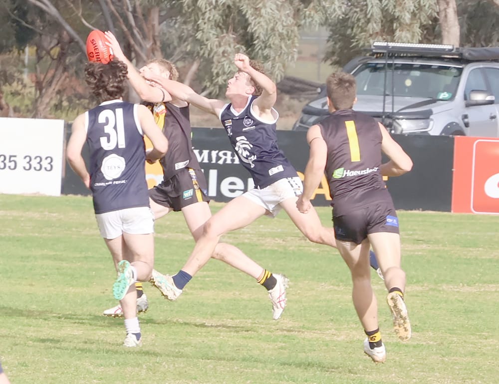 Tigers Rip Through Navies post image