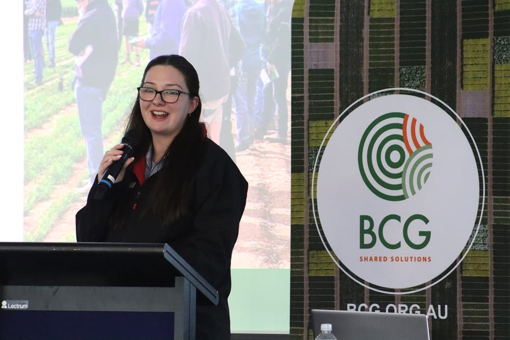 ChatBCG Launched post image