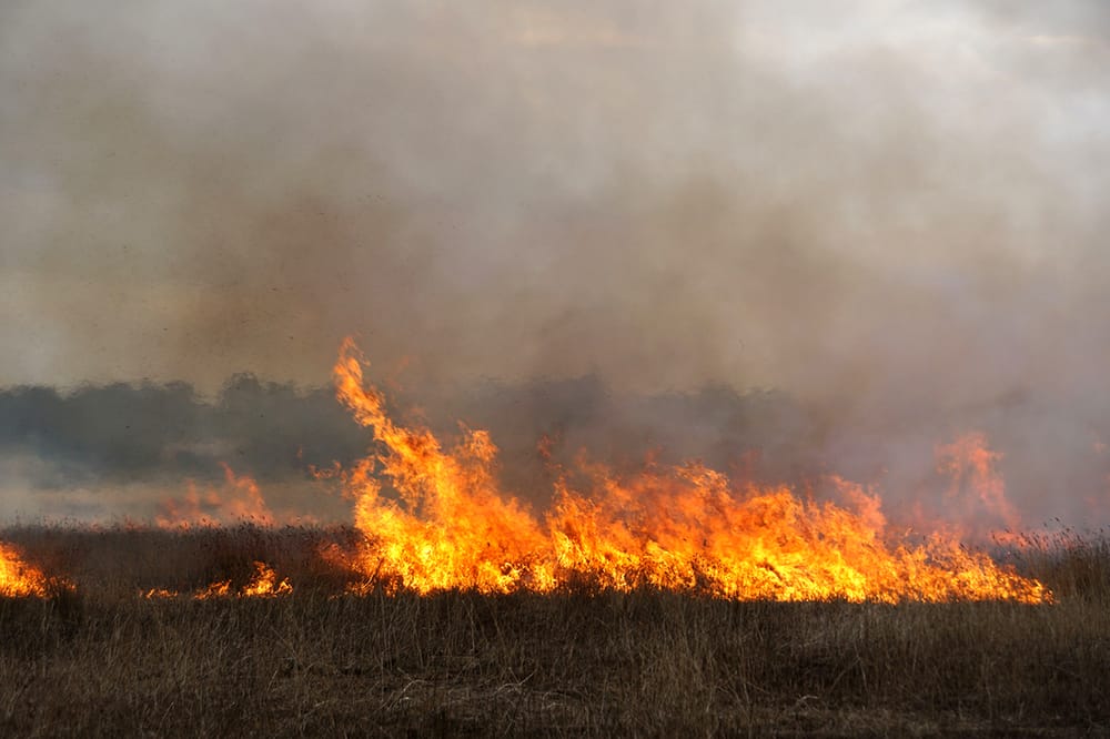 Reduce Risk This Autumn: Register Burn-Off Online post image
