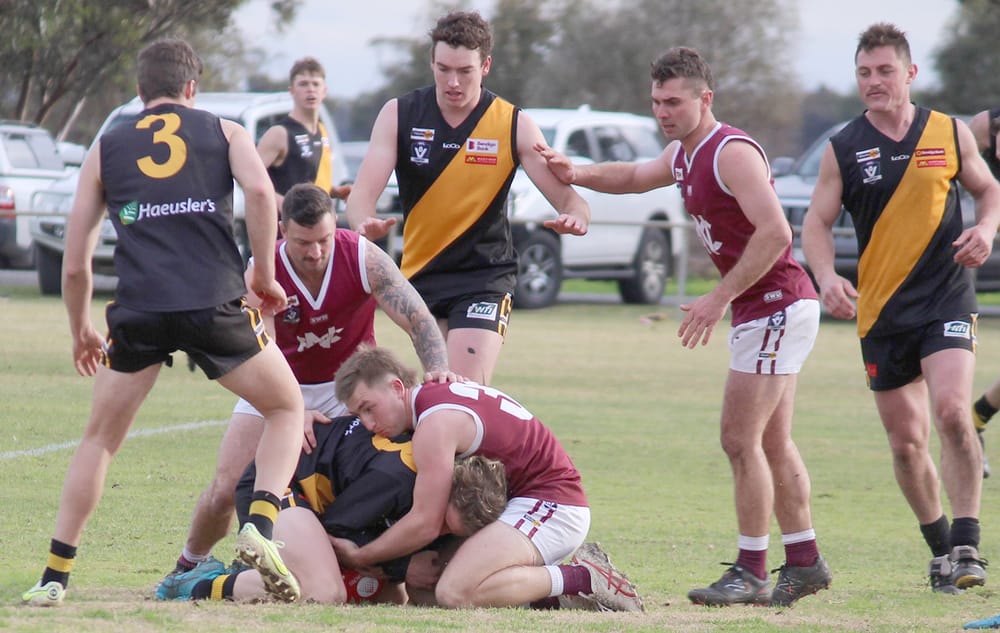 Tigers Remain Undefeated post image