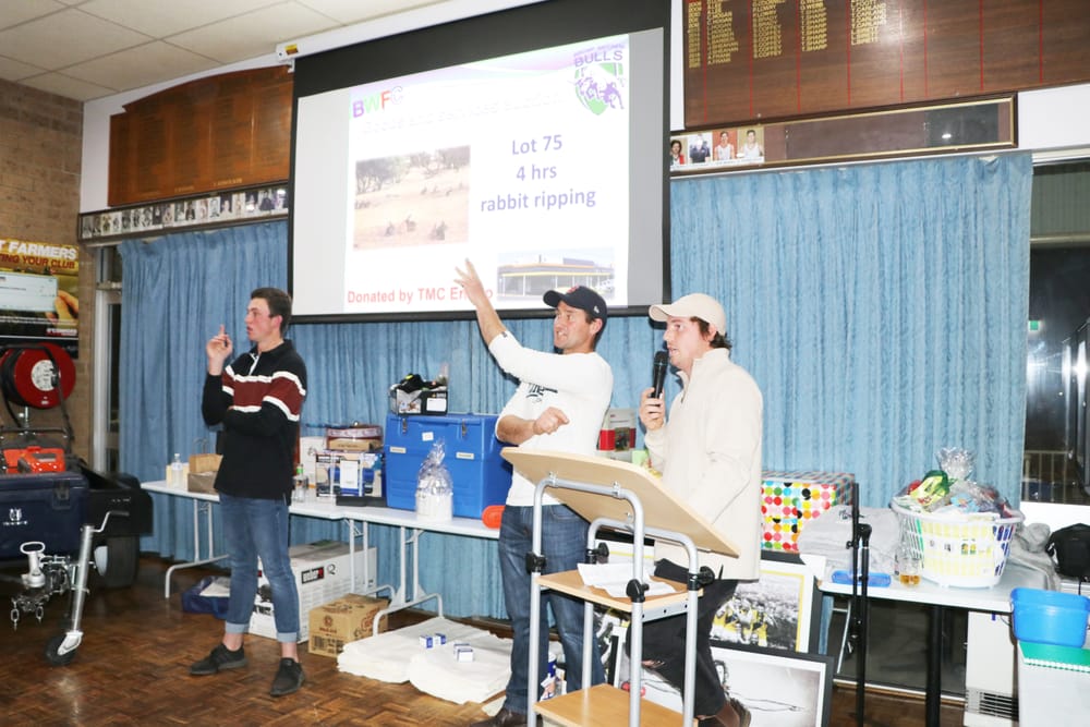 Bulls’ Bidding Bonanza post image