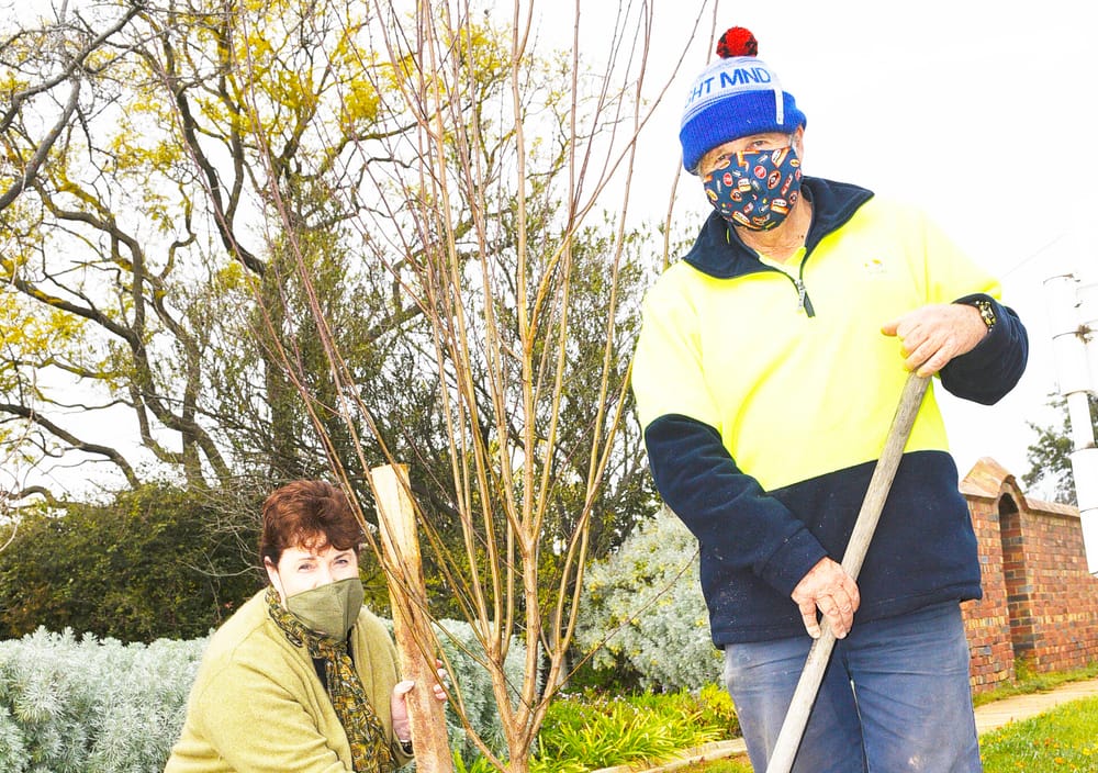 Progress Continues on Charlton Street Beautification post image
