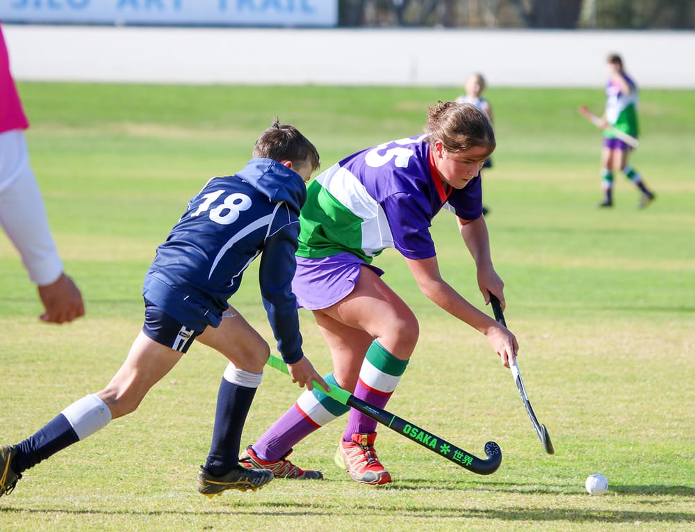 North-Central Hockey post image