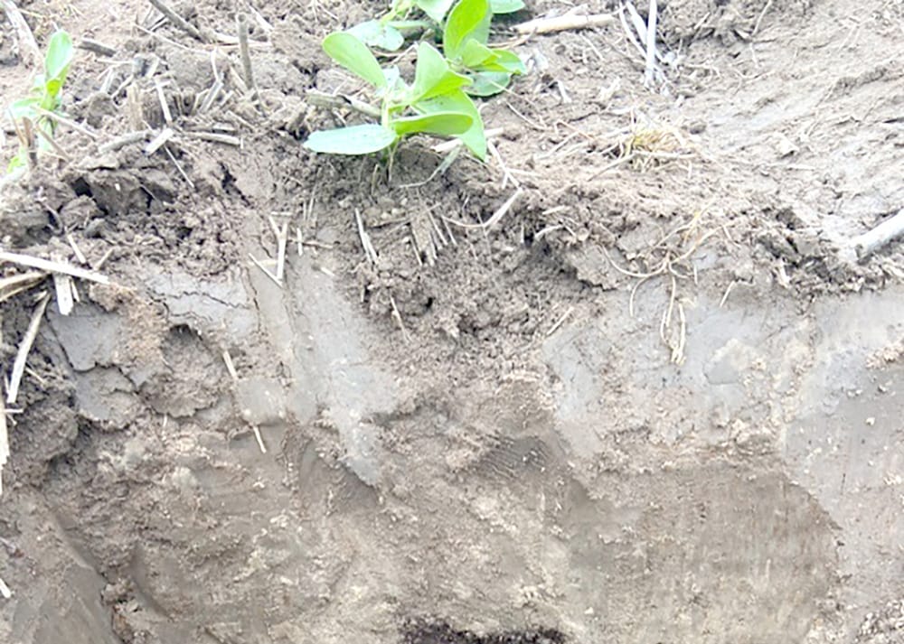 Subsoil Help for Dryland Grain Growers post image