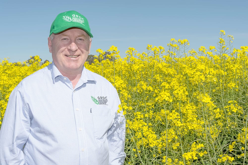 Grains and Horticulture Join Forces to Fight Pest Insects post image