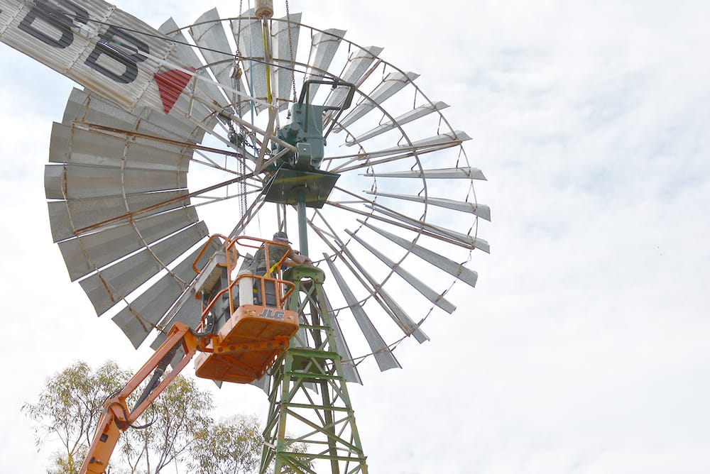 Welcome Back, Windmill — Donald’s Biggest Fan post image