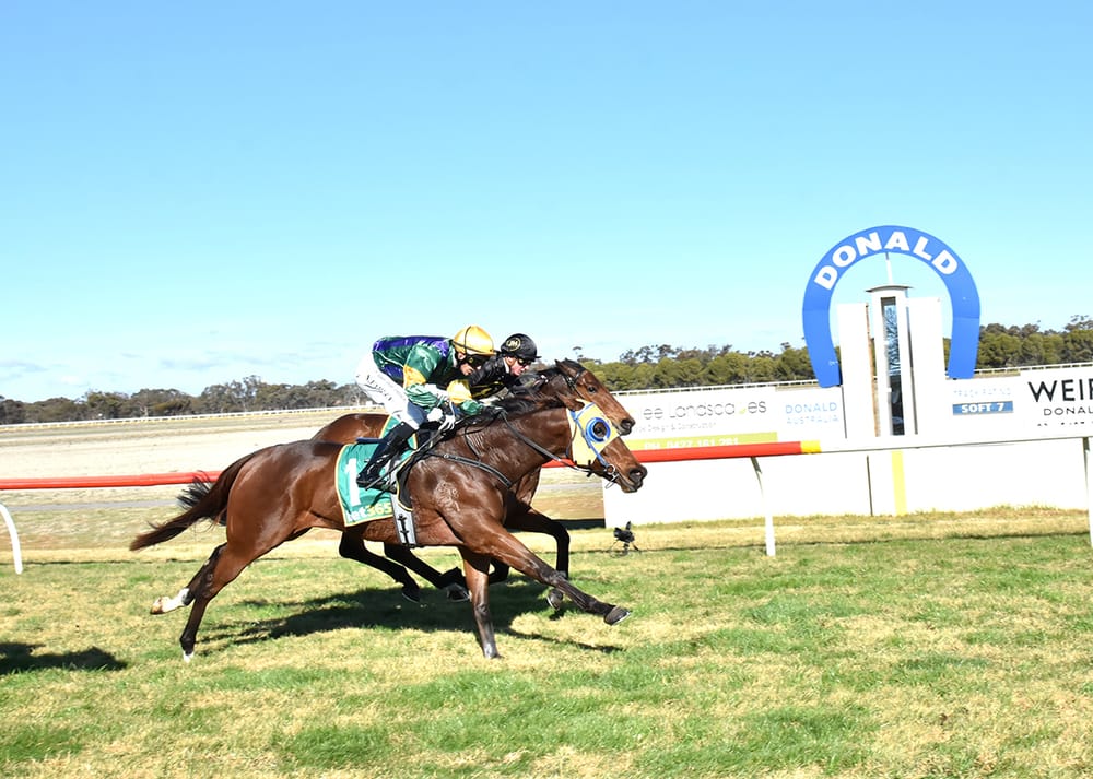 Nine Events at Donald Races – Four Wins to Jockey Will Gordon post image