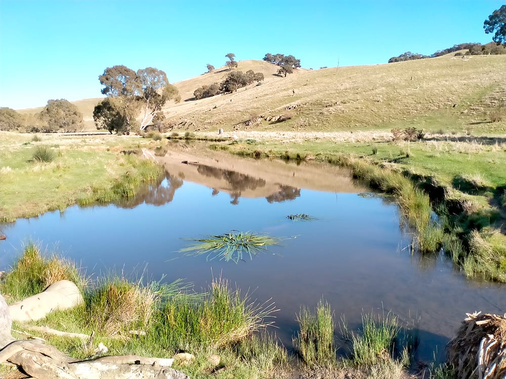 CMA on the Lookout for Natural Drought Refuges post image