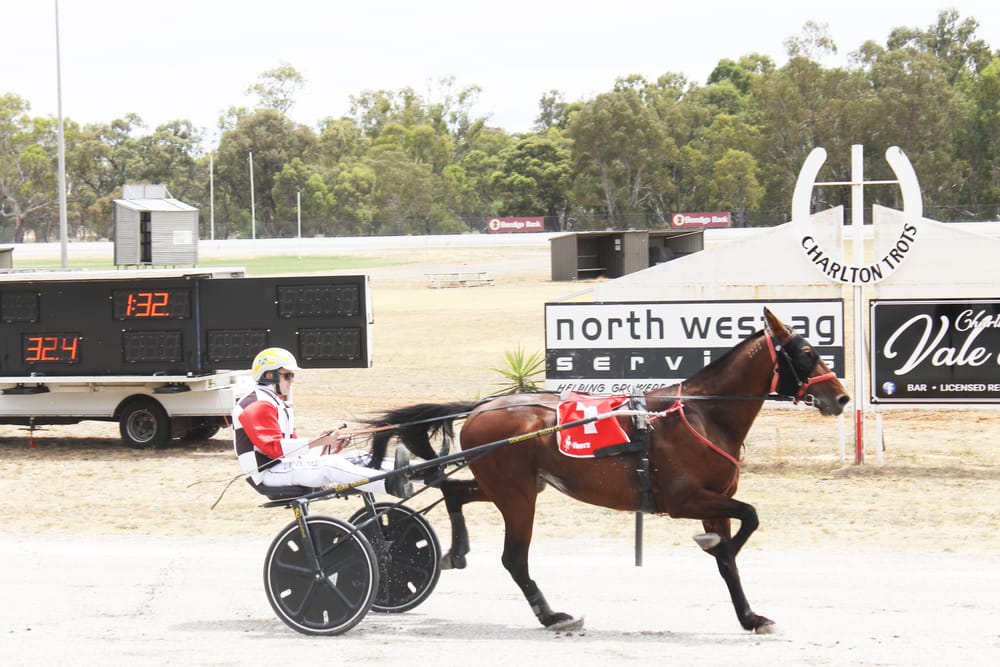 New Trainer for Charlton Training Centre post image