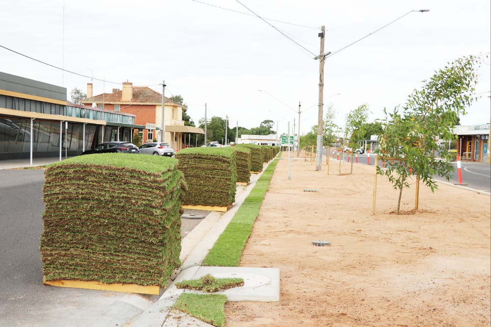 Then There Was Grass post image